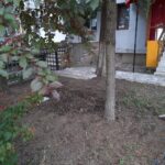 WhatsApp Image 2020-06-11 at 13.15.26 (3)