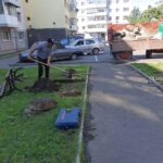WhatsApp Image 2020-07-03 at 12.50.48