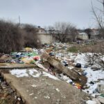 WhatsApp Image 2021-03-12 at 12.06.05 (3)