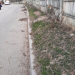 WhatsApp Image 2021-03-12 at 12.42.42