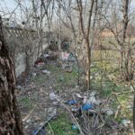 WhatsApp Image 2021-03-12 at 12.42.43