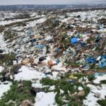 WhatsApp Image 2021-03-12 at 12.53.15