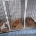 WhatsApp Image 2021-03-18 at 09.57.53