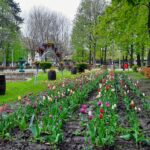 WhatsApp Image 2021-04-29 at 13.40.55