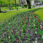 WhatsApp Image 2021-04-29 at 13.40.56 (1)