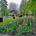 WhatsApp Image 2021-04-29 at 13.40.56