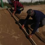 WhatsApp Image 2021-05-04 at 18.27.40 (4)