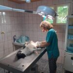 WhatsApp Image 2021-08-05 at 11.18.24