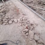 WhatsApp Image 2022-02-04 at 09.56.07 (3)