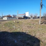 WhatsApp Image 2022-02-22 at 12.17.17