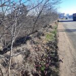 WhatsApp Image 2022-02-22 at 12.17.22 (1)