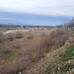 WhatsApp Image 2022-02-22 at 12.23.45 (3)