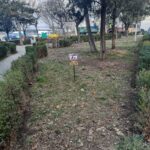 WhatsApp Image 2022-03-16 at 13.27.31