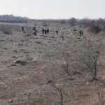 WhatsApp Image 2022-03-23 at 13.16.59 (3)