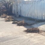 WhatsApp Image 2022-03-29 at 19.36.29 (1)