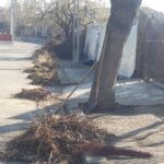 WhatsApp Image 2022-03-29 at 19.36.30 (4)