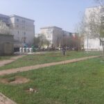 WhatsApp Image 2022-04-01 at 13.14.08 (2)