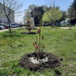 WhatsApp Image 2022-04-15 at 12.43.47