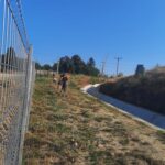 WhatsApp Image 2022-07-21 at 08.29.26