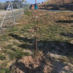 WhatsApp Image 2022-07-21 at 08.29.27