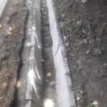 WhatsApp Image 2022-07-22 at 14.53.07 (2)