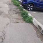 WhatsApp Image 2022-08-01 at 14.35.51 (2)