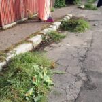 WhatsApp Image 2022-08-23 at 14.12.45 (1)