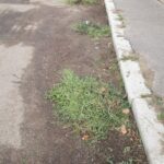 WhatsApp Image 2022-08-23 at 14.12.46