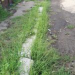 WhatsApp Image 2022-08-23 at 14.12.47