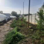 WhatsApp Image 2022-08-24 at 11.32.43