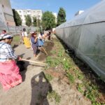 WhatsApp Image 2022-08-24 at 11.32.43 (2)