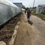 WhatsApp Image 2022-08-24 at 11.32.44 (1)