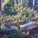 WhatsApp Image 2022-10-17 at 13.56.56 (1)