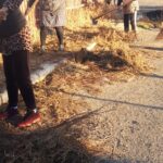 WhatsApp Image 2022-10-17 at 13.56.56