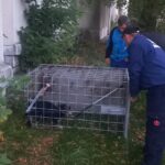 dc4e6451-4da2-47df-aea6-efccfe78ef59